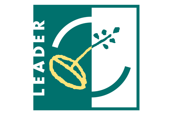 LEADER logo